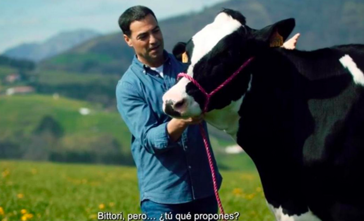 La vaca Bittori, estrella del vídeo electoral del PNV.
