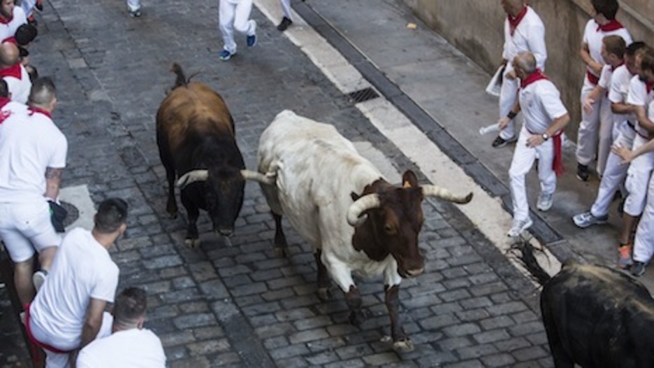 Un toro y un manso abren el paso de la manada por Santo Domingo. (Lander FDZ. ARROYABE/ARGAZKI PRESS)