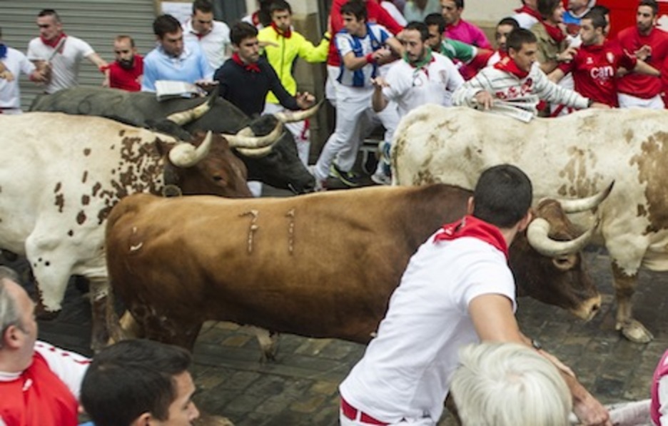 Rayito, el toro colorado, corre bien arropado por los mansos. (Jagoba MANTEROLA/ARGAZKI PRESS)