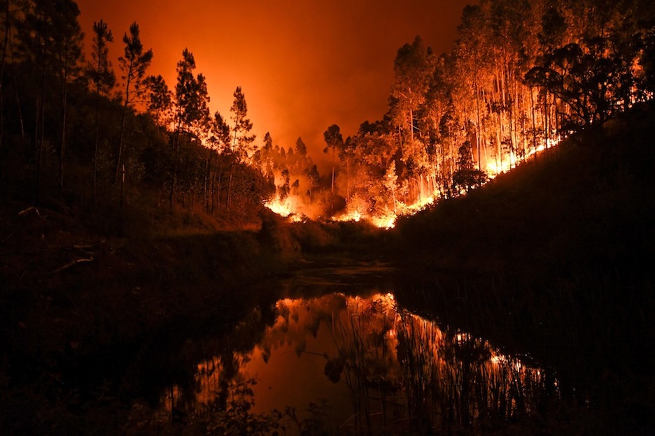 El fuego reflejado en un arroyo, cerca de Coimbra. (Patricia DE MELO/AFP)