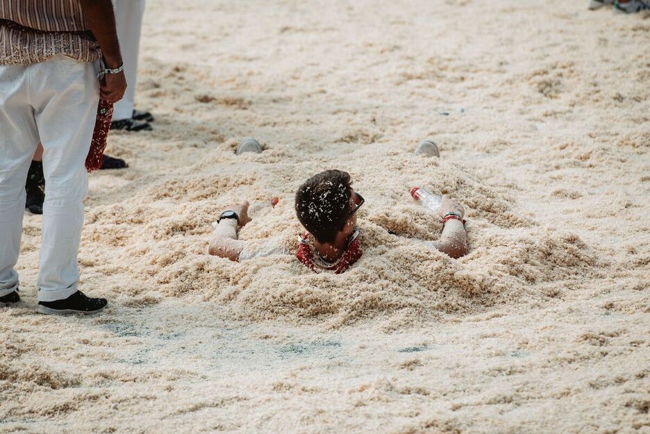 Vaches fêtes Vaches fêtes