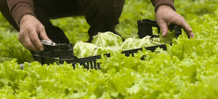 Geltoki acoge el mayor mercado ecológico de Nafarroa del 5 al 7 de abril.