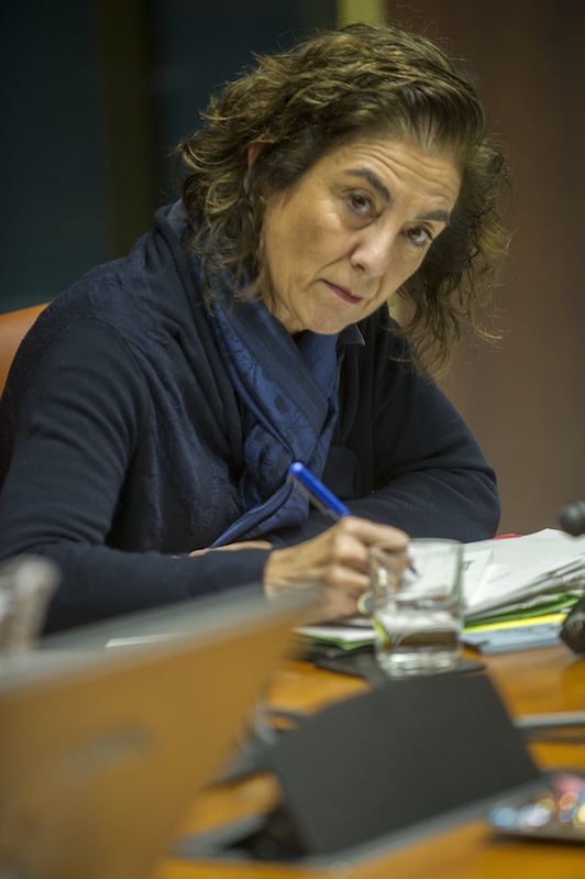La consejera Cristina Uriarte, durante una comparecencia parlamentaria. (Juanan RUIZ/ARGAZKI PRESS)