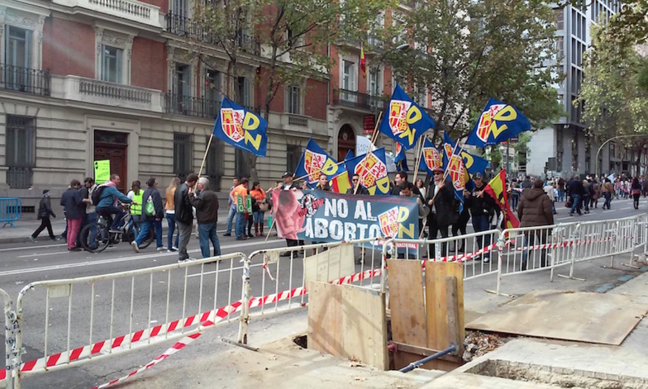 La ultraderechista ‘Democracia Nacional’ ha participado en la marcha. (@albertopradilla)