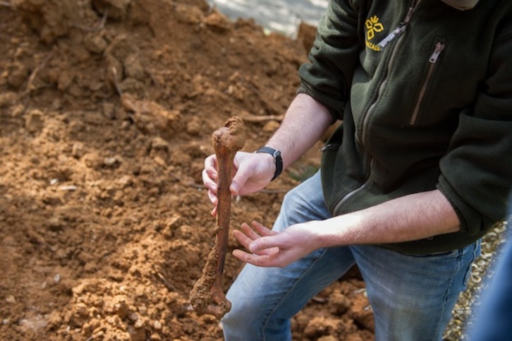 Uno de los investigadores de Aranzadi muestra un fémur hallado en la fosa de Berriozar. (Iñigo URIZ / ARGAZKI PRESS)