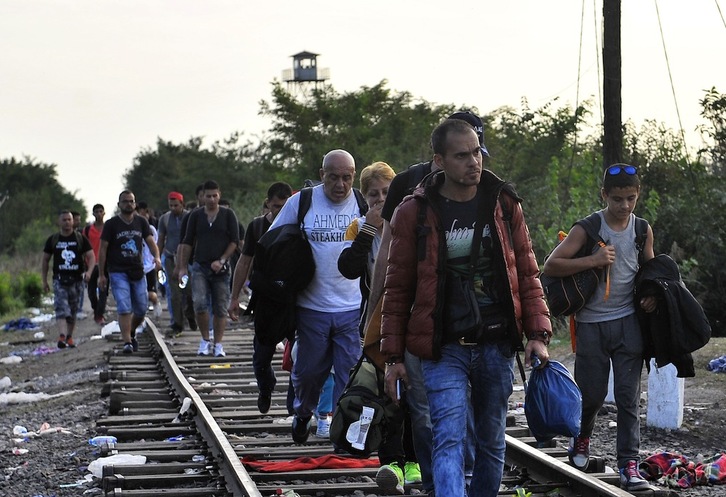 Refugiados viajando de la frontera entre Serbia y Hungría a la frontera croata. (Elvis BARUKCIC / AFP)