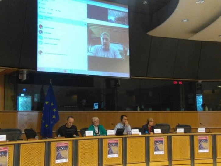 Joseba Asiron ha participado en una conferencia sobre austeridad en el Parlamento Europeo. (@EHBildu)