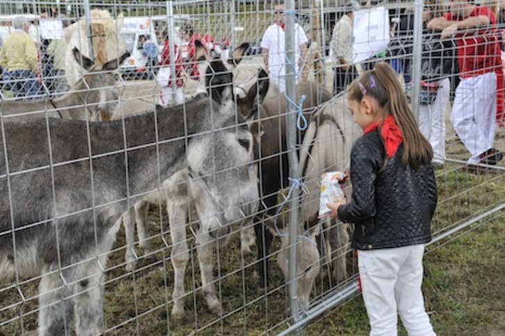 Agustinos volverá a acoger la feria de ganado de San Fermín. (Idoia ZABALETA/ARGAZKI PRESS)