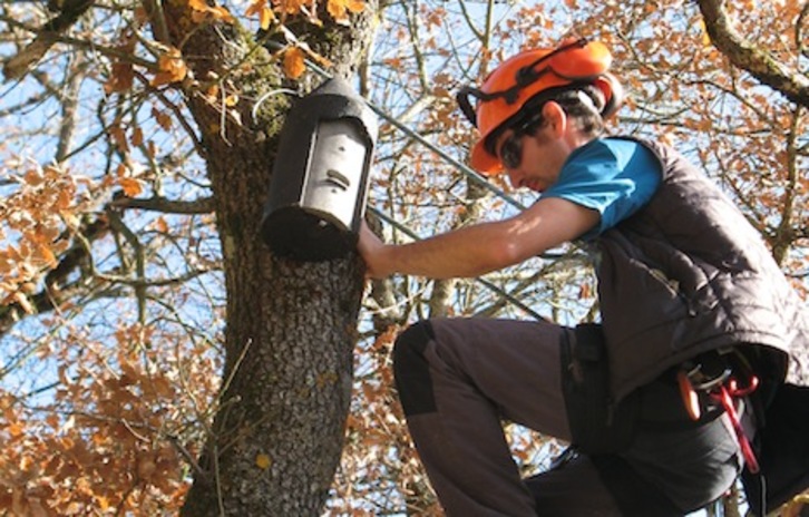 El Ayuntamiento de Eguesibar incentiva el voluntariado ambiental.