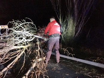 Foruzain bat Uharte-Arakilen errepidean eroritako zuhaitz bat kendu nahian. (@policiaforal_na)