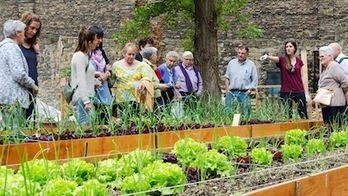 Imagen del huerto urbano de Pellejerías. (AYUNTAMIENTO DE IRUÑEA)