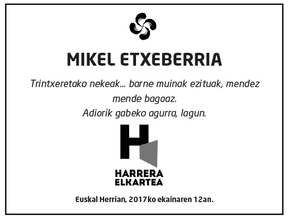 Mikel-etxeberria-iztueta-2