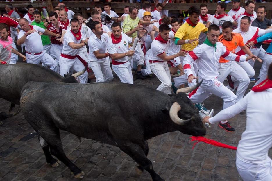 Ha sido el tercer año en sanfermines para los toros de la ganadería José Escolar. (Iñigo URIZ/ARGAZKI PRESS) 