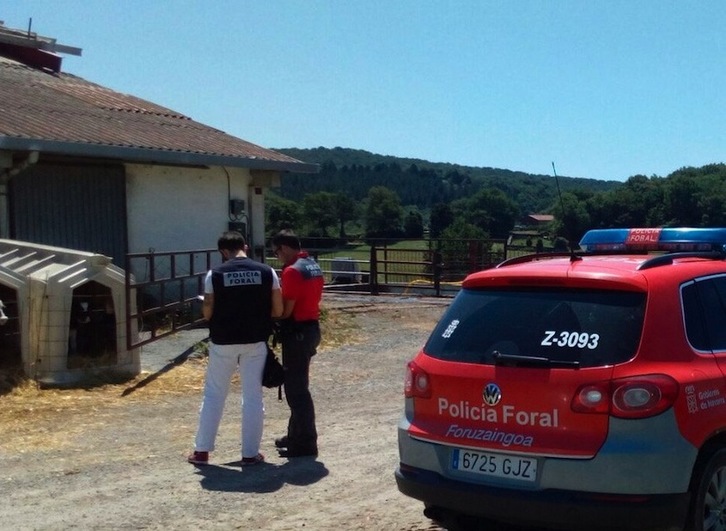 Efectivos de la Policía Foral en Aritzu, en el lugar del accidente. (@policiaforal_na)