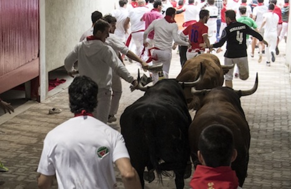 Tres toros entran en el callejón. (Jaboba MANTEROLA/ARGAZKI PRESS)