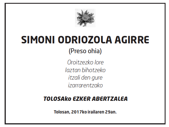 Simoni-odriozola-agirre-2