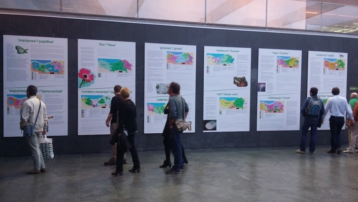 La exposición recoge paneles con mapas que muestran las formas de una palabra en diferentes euskalkis. (@MartxeloDiaz)