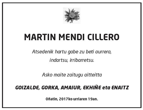 Martin-mendi-cillero-2