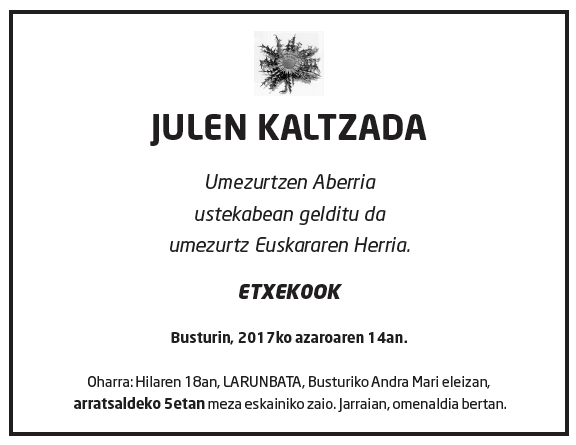 Julen-kaltzada-1