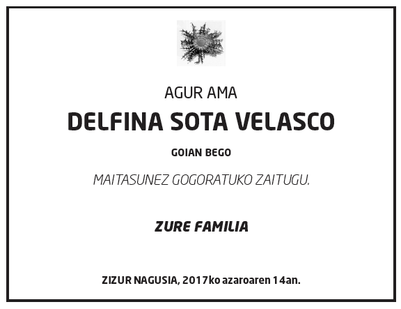 Delfina-sota-velasco-1