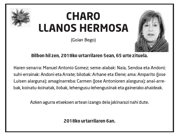 Charo-llanos-hermosilla-1