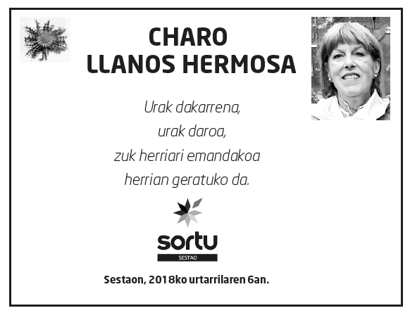Charo-llanos-hermosilla-2