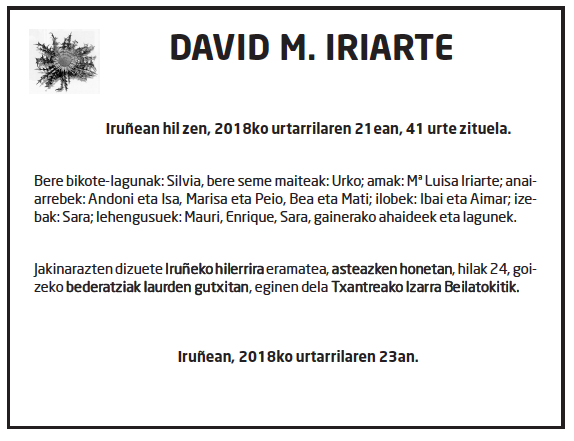 David-m.iriarte-1