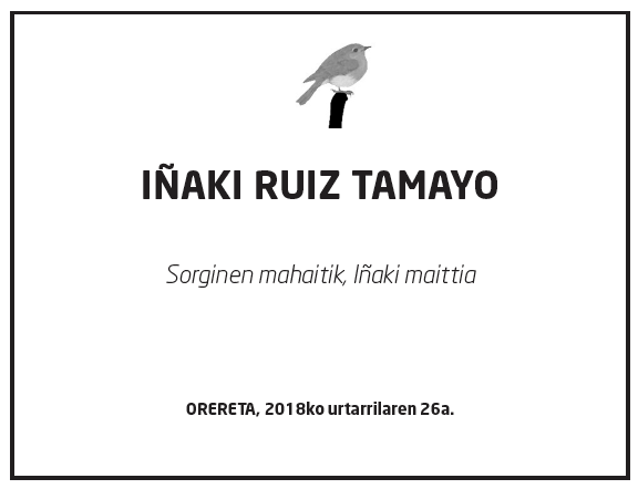 In_aki-ruiz-tamayo-1