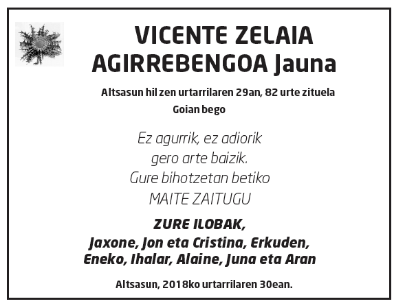 Vicente-zelaia-agirrebengoa-2