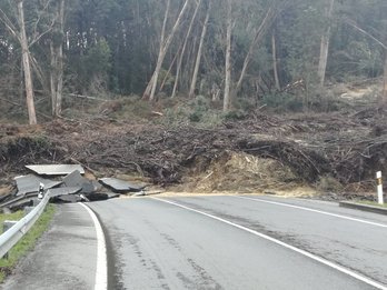 La ladera se ha tragado la carretera. (NAIZ.EUS)