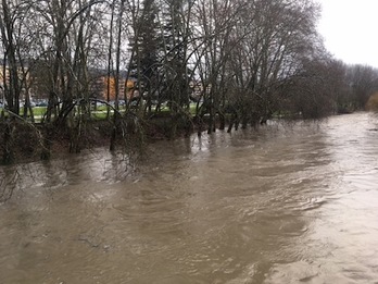 El río Arga, con un notable aumento del caudal, a su paso por el puente de Curtidores de Iruñea.