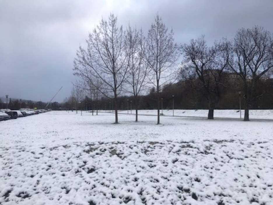 La nieve pone una nota de color blanco en la parque del Arga.