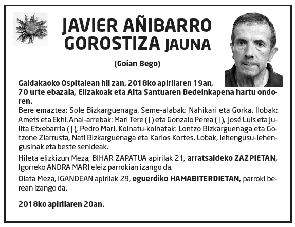 Javier-an_ibarro-gorostiza-1