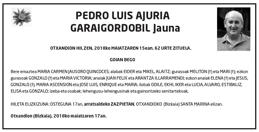 Pedro-luis-ajuria-garaigordobil-1