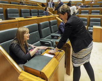 María Jesús San José y Arantza Tapia, durante una sesión anterior en el Parlamento. (Juanan RUIZ / FOKU)