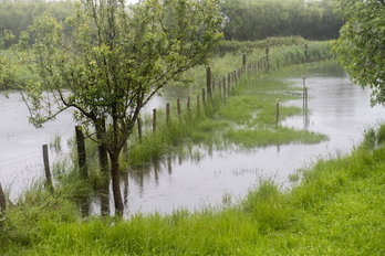 Terrenos anegados en la zona de Jaizubia, entre Irun y Hondarribia. (Gorka RUBIO / FOKU)