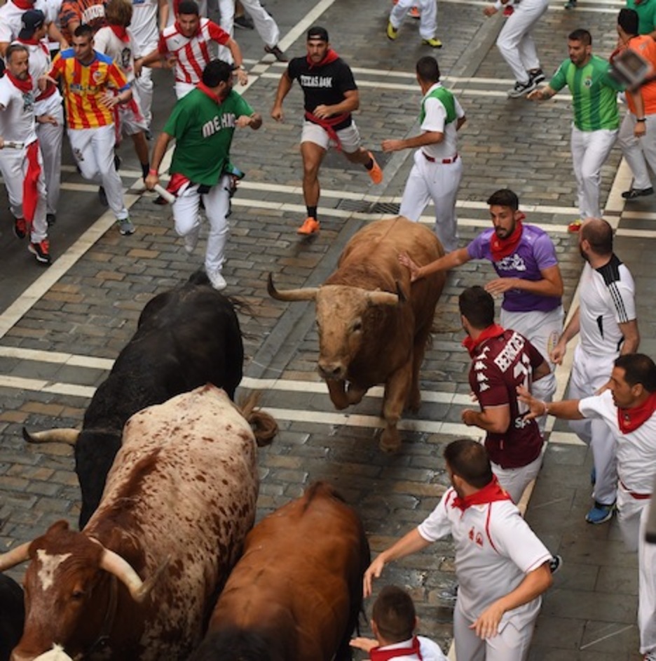 Tejedor, el toro castaño de Fuente Ymbro, cierra el grupo en Estafeta. (Jon URBE/FOKU)