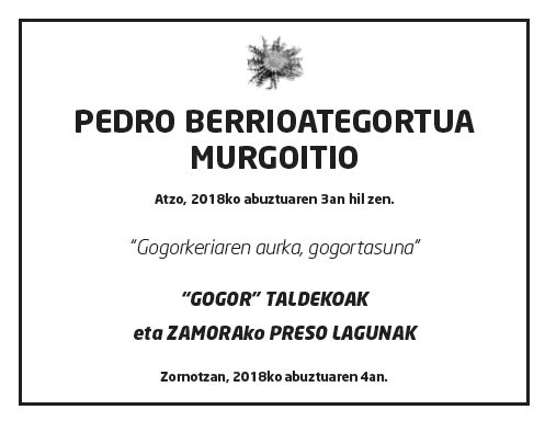 Pedro-berrioategortua-murgoitio-2
