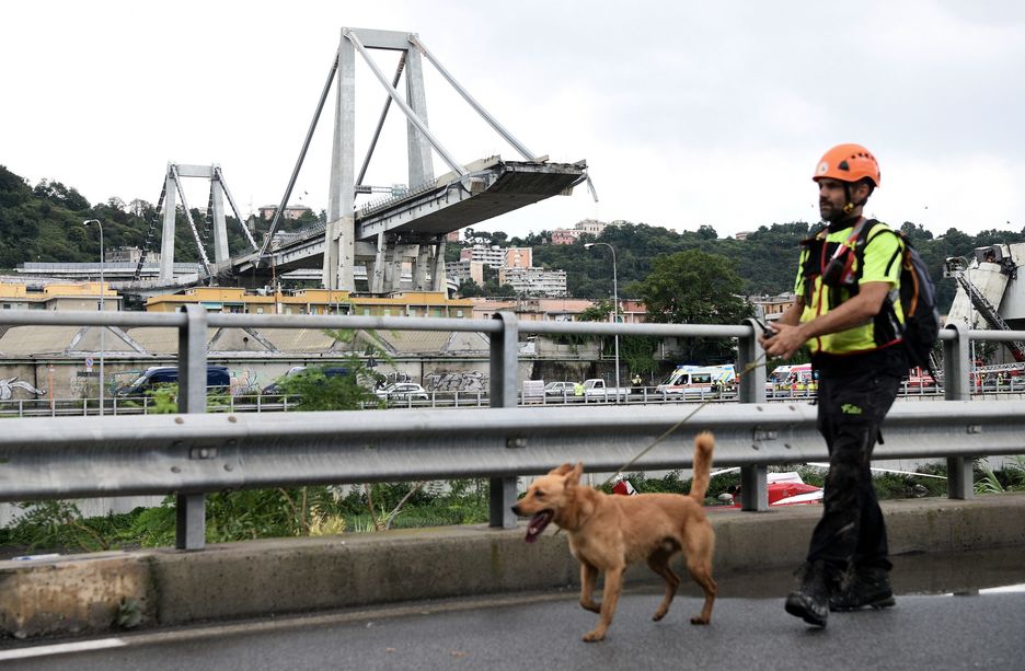 Unidades caninas están ayudando en las labores de rescate. (Piero CRUCIATTI/AFP)