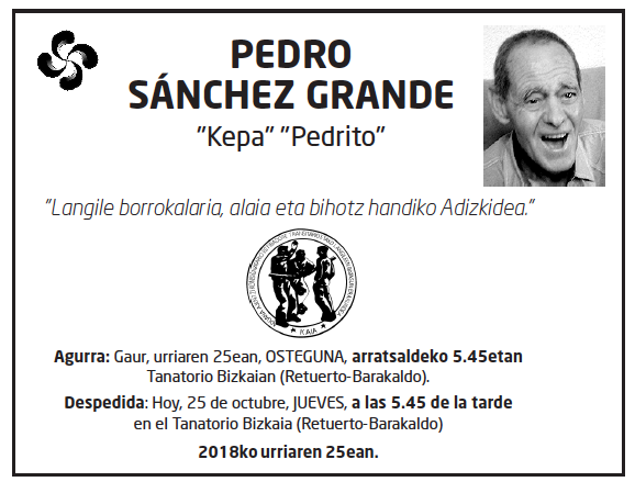 Pedro-sanchez-grande-1