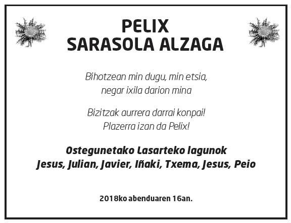 Pelix-sarasola-alzaga-2