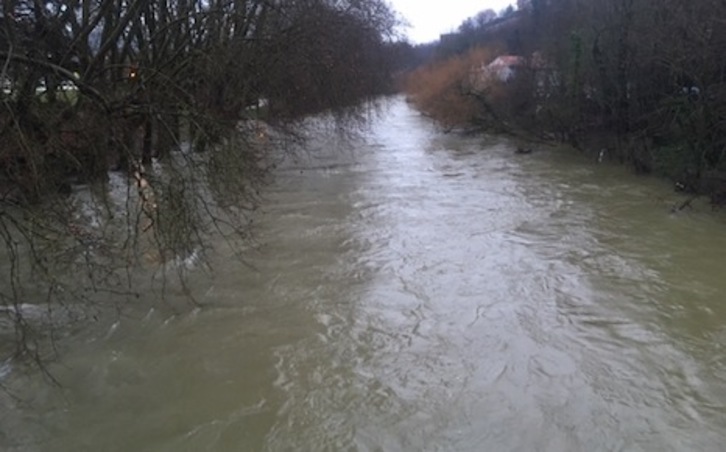 El río Arga, durante una crecida.