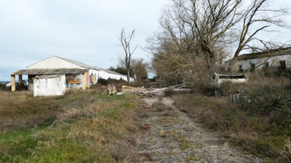 Un árbol caído corta el acceso rodado a una zona del campamento militar. (Iñaki VIGOR)