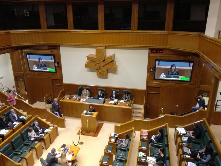 Janire Landaluze en su intervención ante el pleno. (NAIZ)