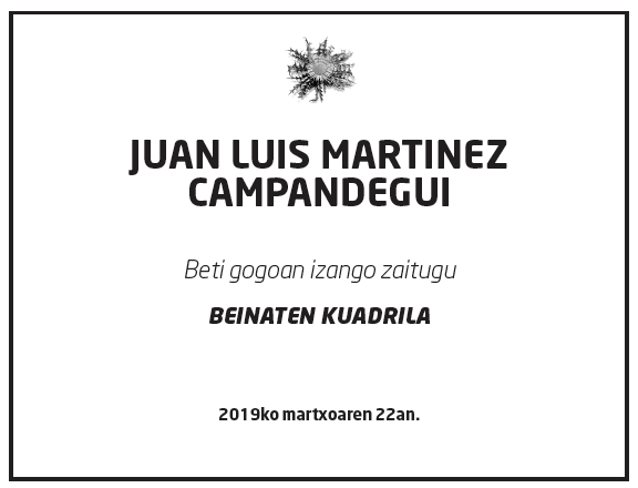 Juan-luis-martinez-campandegui-1