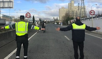 Agentes intentan retirar a los dos caballos que se encontraban en plena carretera cerca de Landaben. (POLICÍA MUNICIPAL DE IRUÑEA)