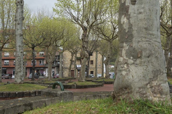 Árboles que se pretende sustituir en la plaza Ferialeku, en Abadiño. (Marisol RAMIREZ/FOKU)