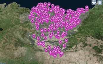 Captura de imagen de este mapa que geolocaliza servicios y recursos. (Emakunde)