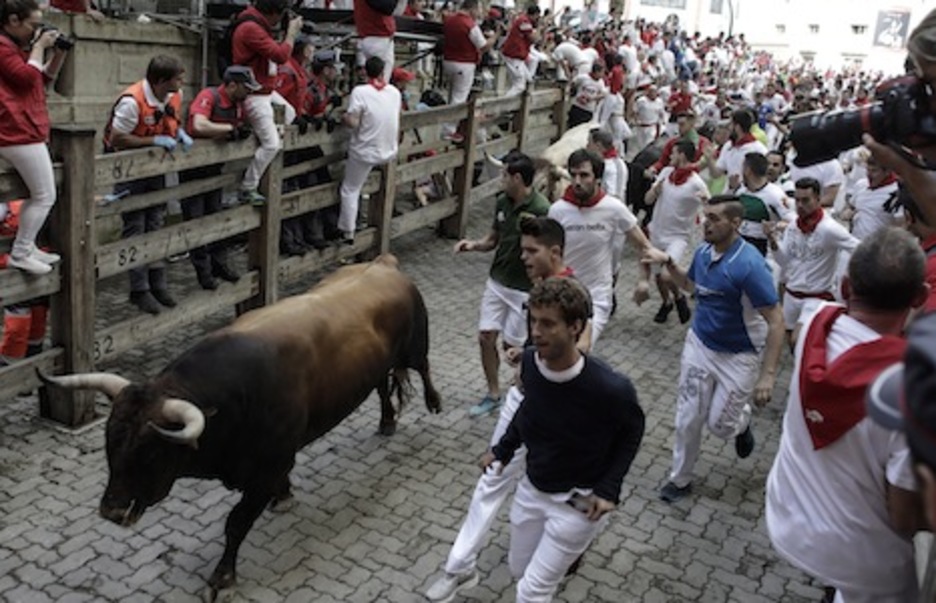 Uno de los toros de Cebada Gago se dirige hacia la plaza. (Joseba ZABALZA/FOKU)