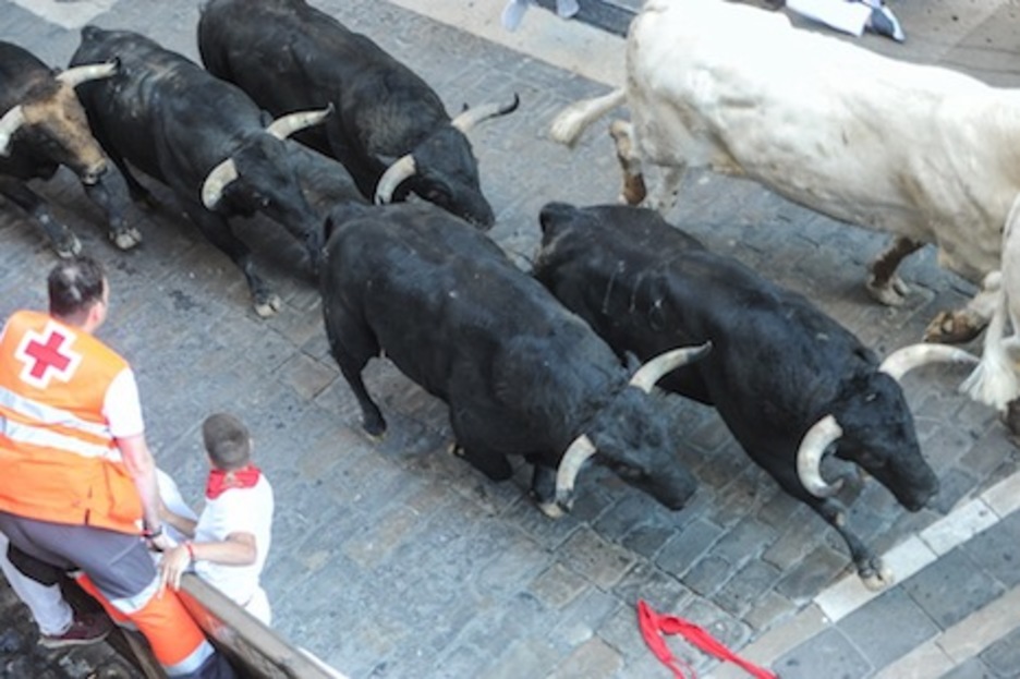 Los toros cubren los últimos metros de Santo Domingo. (Lander ARROYABE/FOKU)